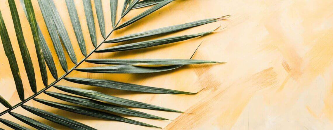 Palm Sunday procession with palm branches and crowd