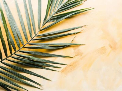Palm Sunday procession with palm branches and crowd
