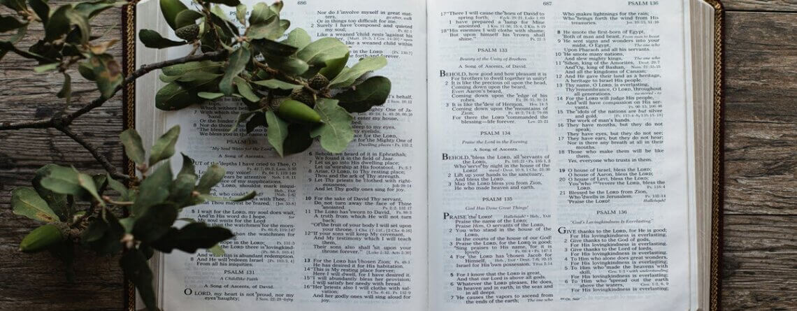 Bible in a year reading plan