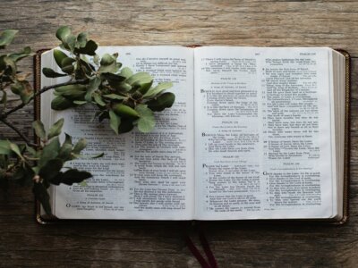 Bible in a year reading plan