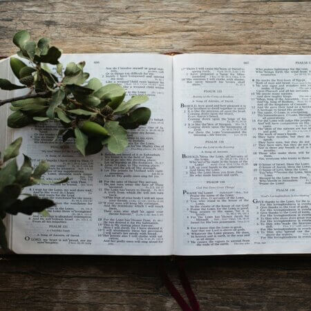 Bible in a year reading plan
