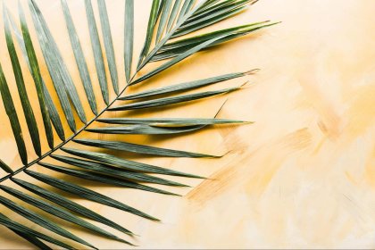 Palm Sunday procession with palm branches and crowd