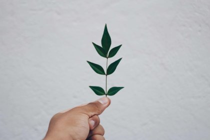 Church growing